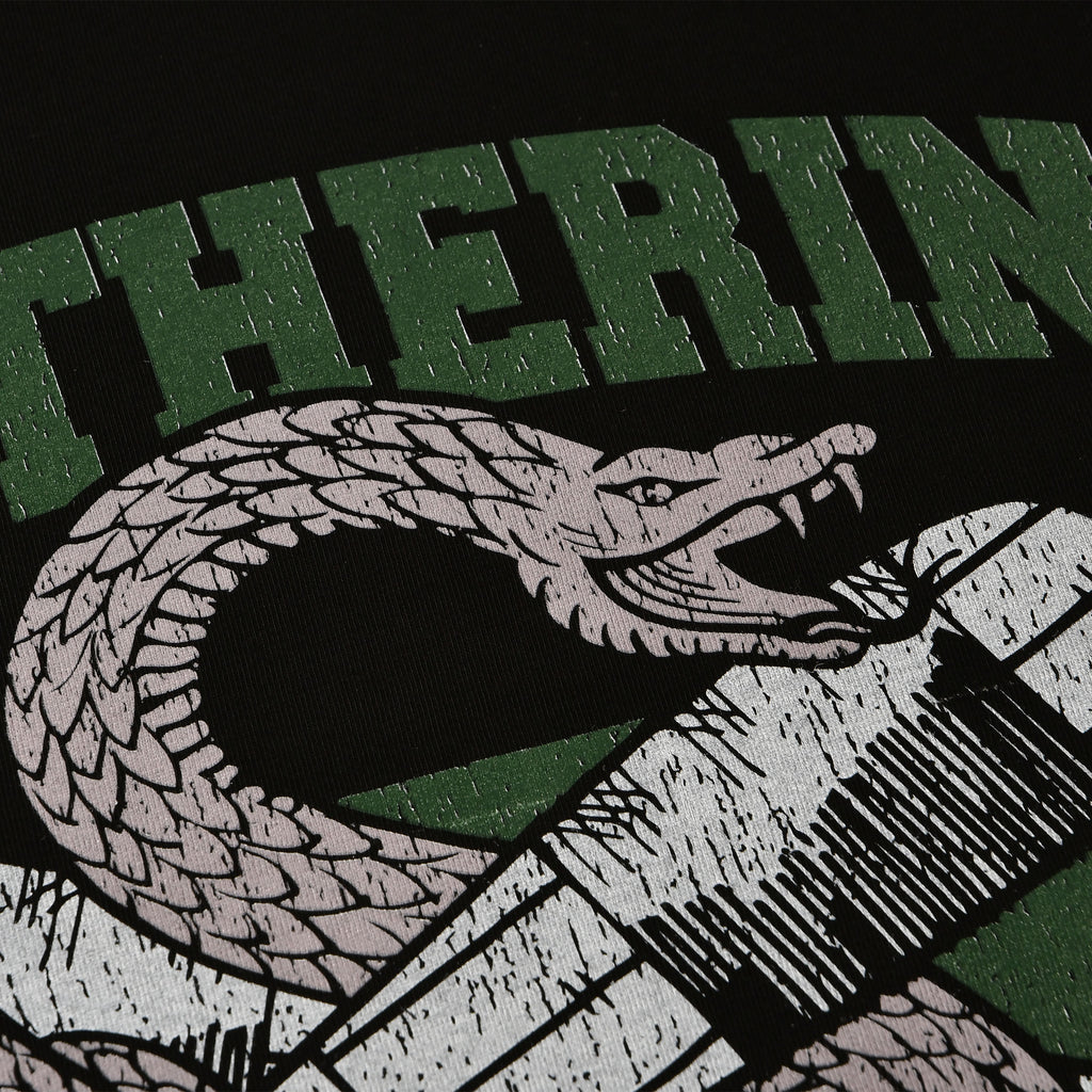 Produktbild Slytherin Quidditch College T-shirt svart - Harry Potter