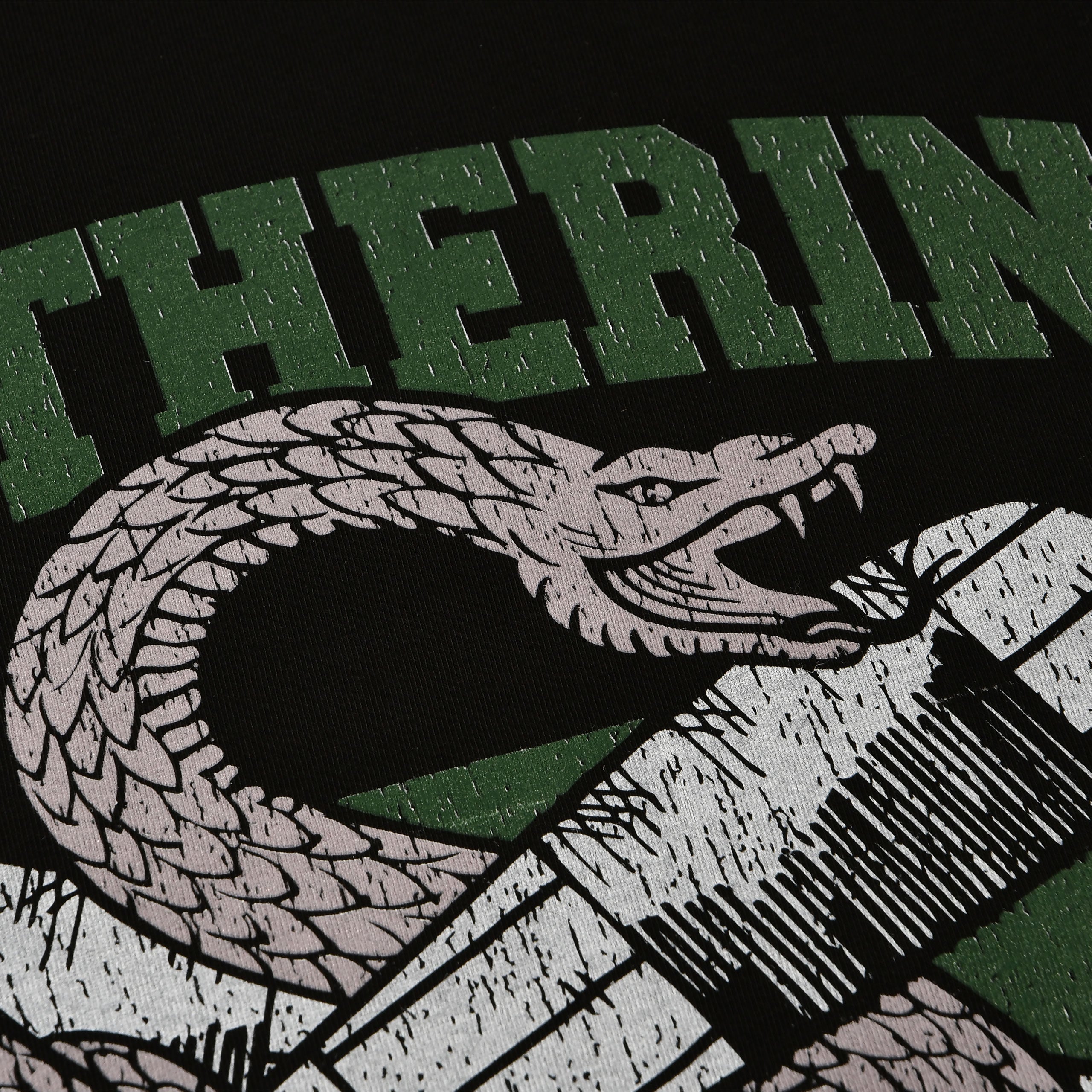 Produktbild Slytherin Quidditch College T-shirt svart - Harry Potter