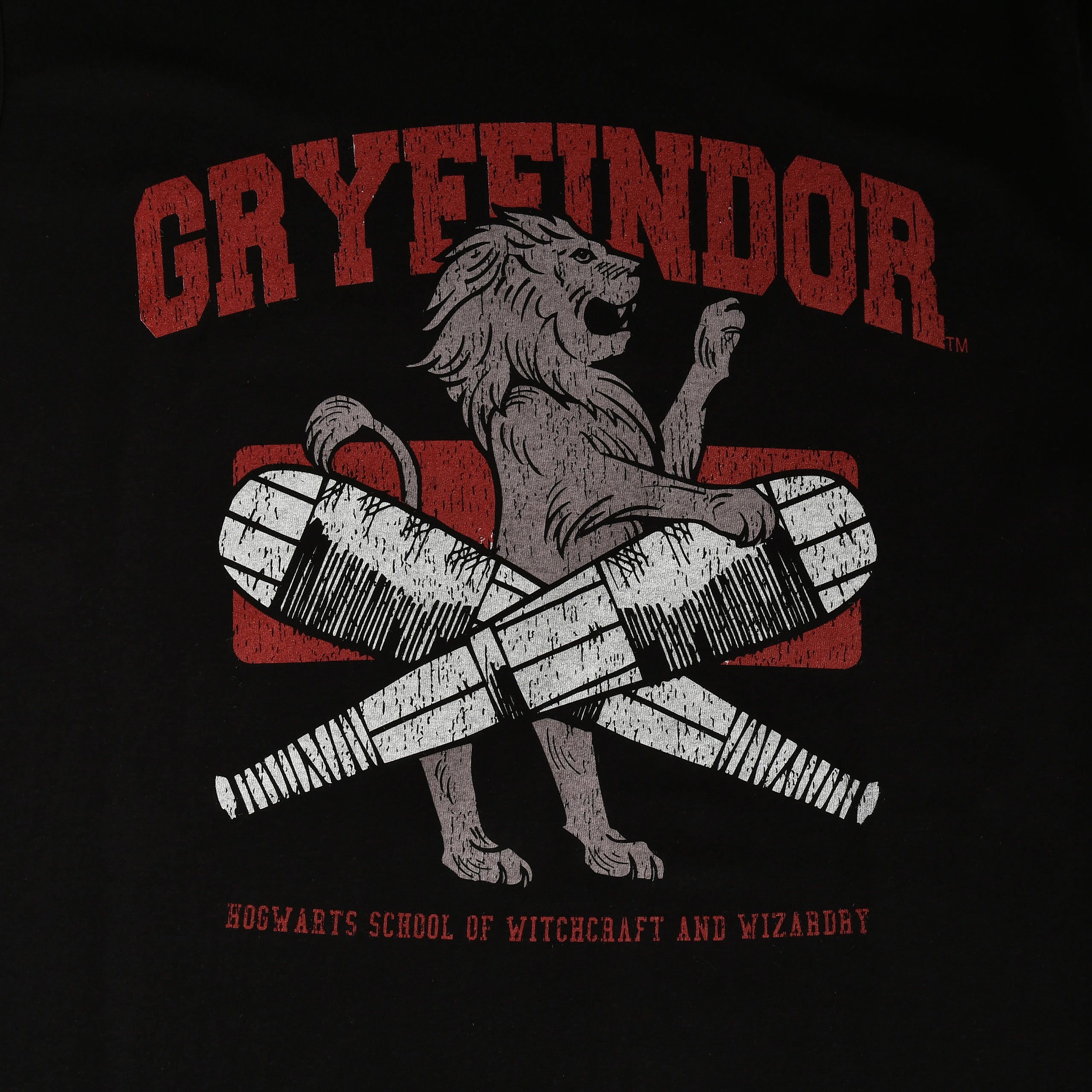 Produktbild Gryffindor Quidditch College T-shirt svart - Harry Potter