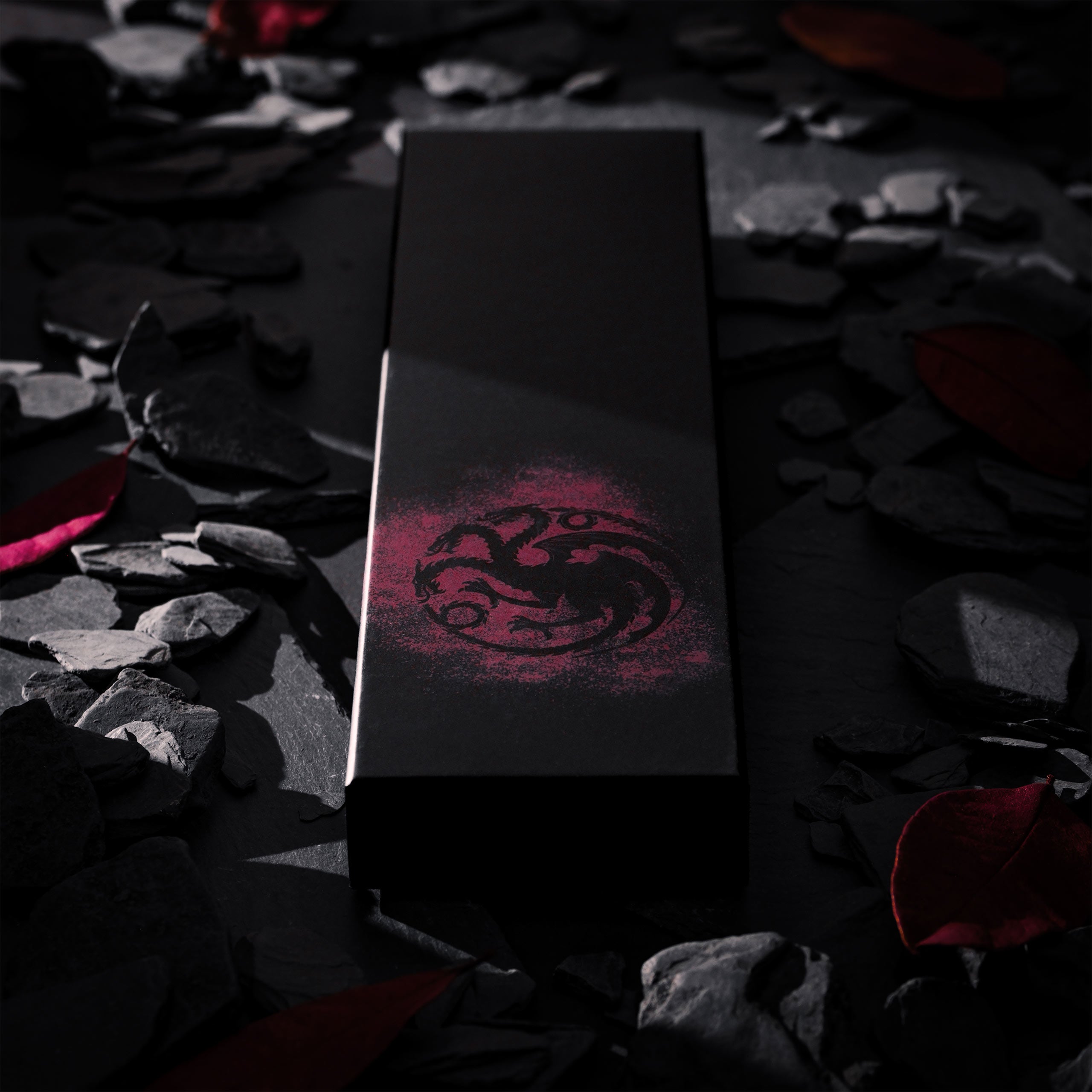 Produktbild Game of Thrones - Targaryen Slips