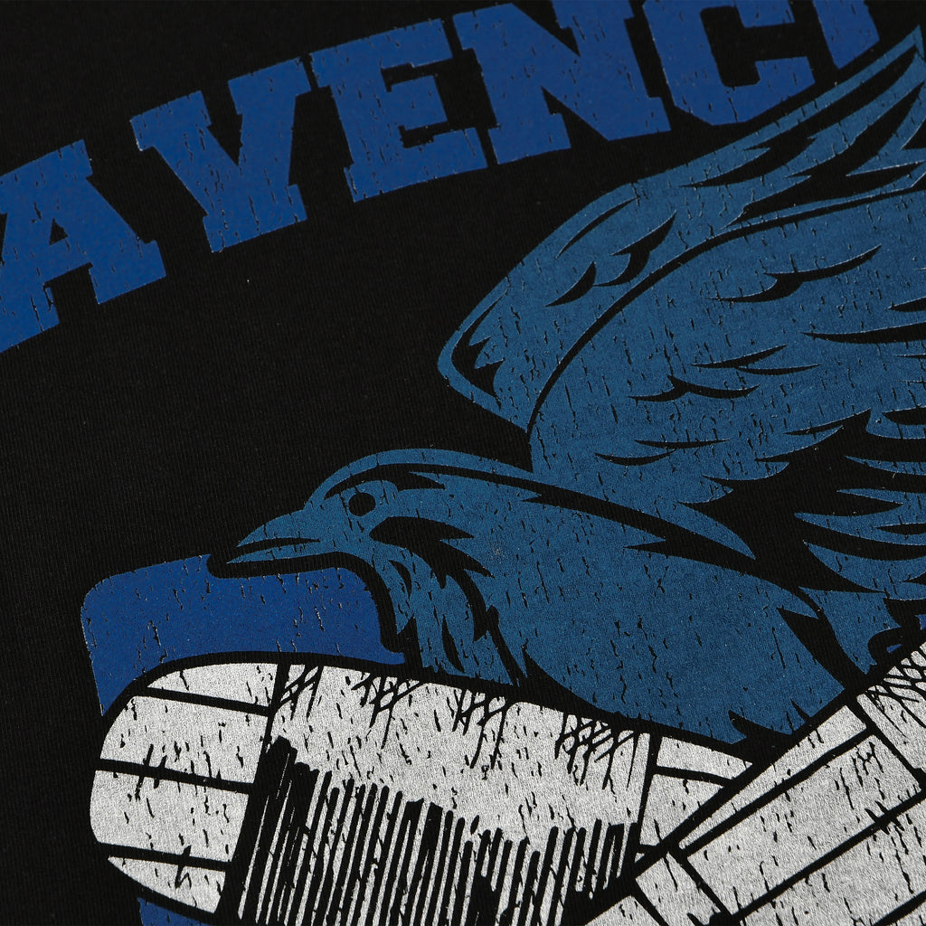 Produktbild Ravenclaw Quidditch College T-shirt svart - Harry Potter