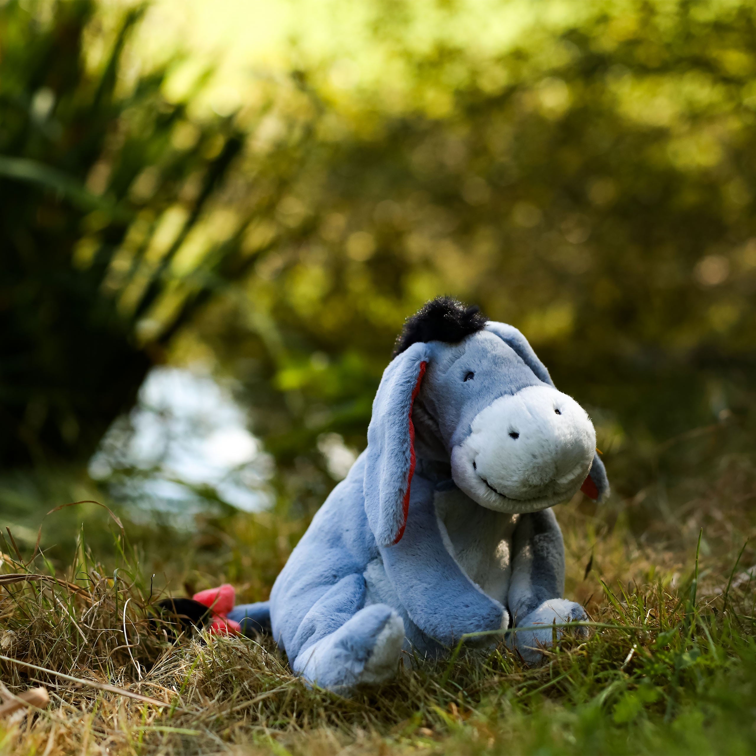 Produktbild Nalle Puh - Ior Samlarfigur från Steiff