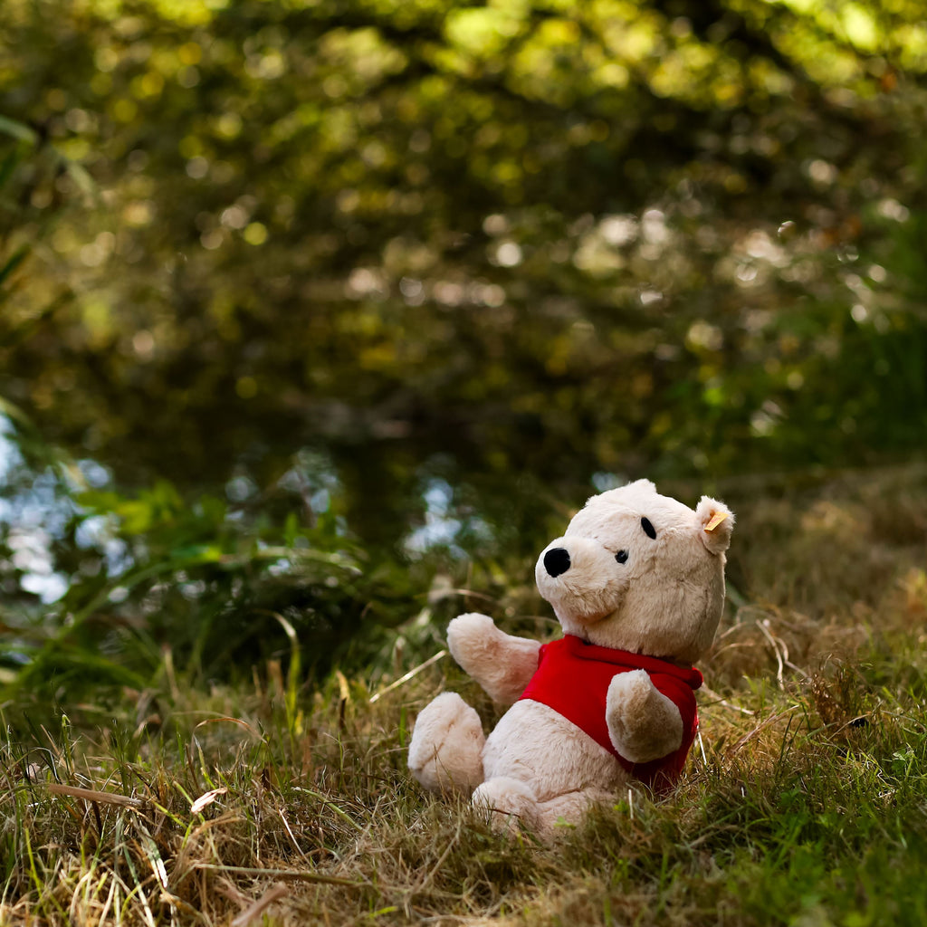 Produktbild Nalle Puh - Samlarfigur från Steiff