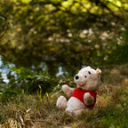 Produktbild Nalle Puh - Samlarfigur från Steiff