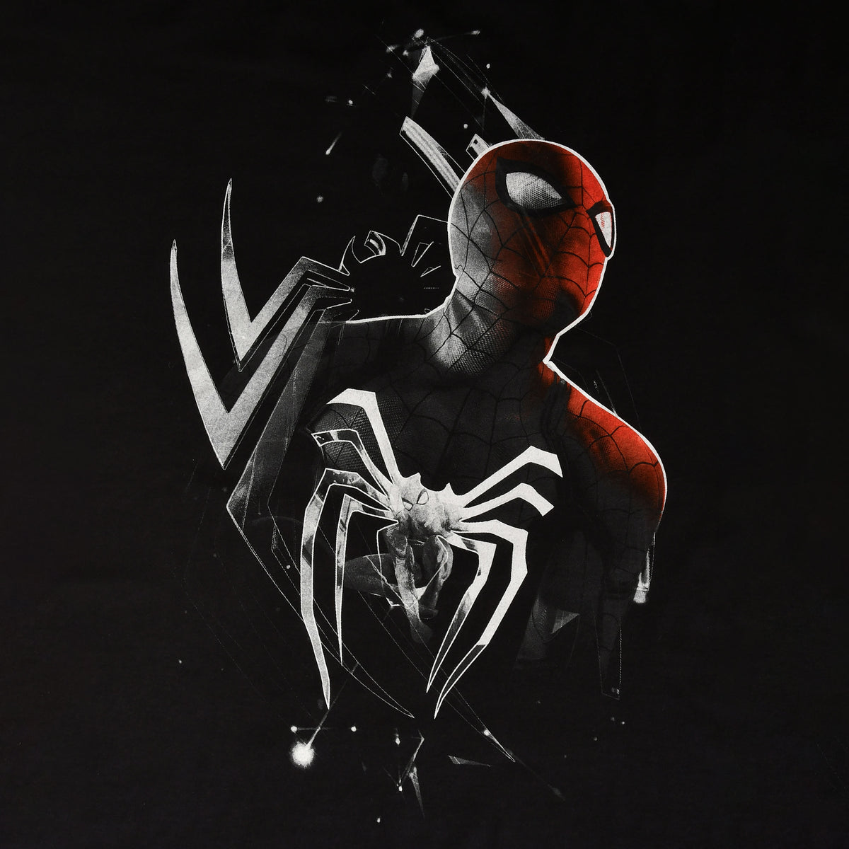 Produktbild Spider-Man - Dimension T-shirt svart