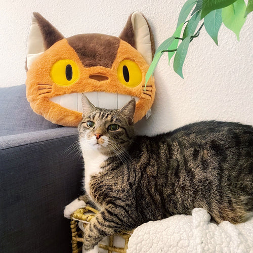 Produktbild Totoro - Plyschkudde Kattbussen Nakayoshi