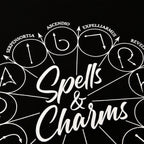 Produktbild Harry Potter - Spells And Charms T-shirt svart