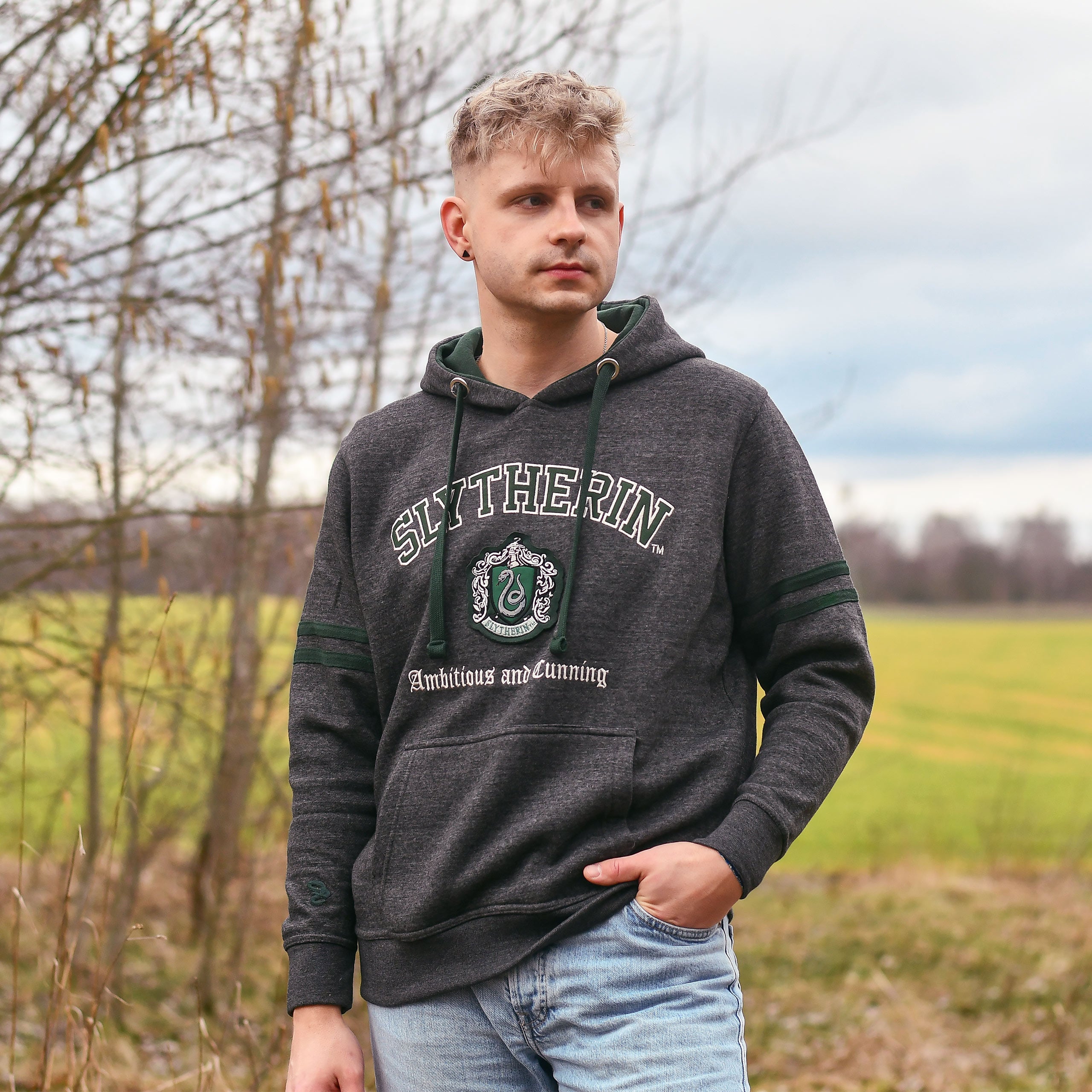 Product image Harry Potter - Slytherin Crest Premium Hoodie grey