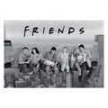 Produktbild Friends - Empire Building Maxi Poster