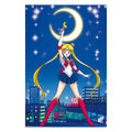 Produktbild Sailor Moon - Karaktärer Maxi Poster