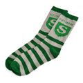 Produktbild Harry Potter - Slytherin logostrumpor grön-grå