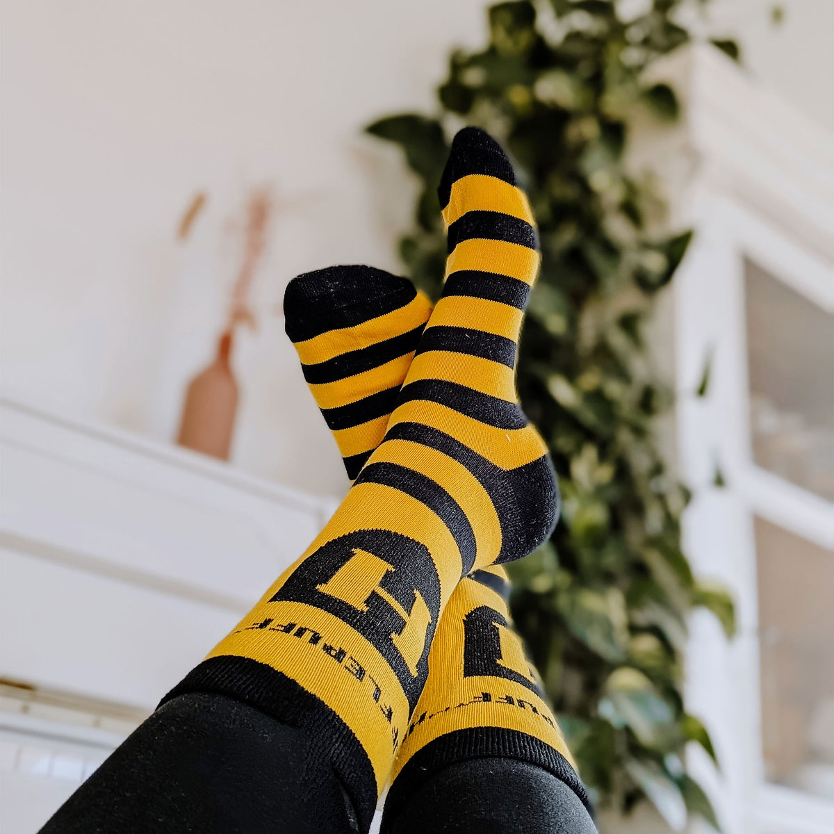 Produktbild Harry Potter - Hufflepuff-logostrumpor gul-svart