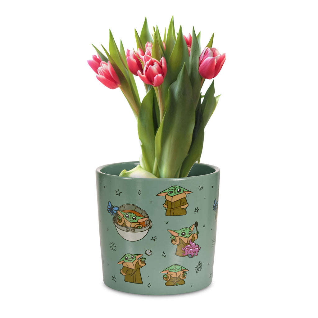 Product image Grogu Flower Pot - Star Wars The Mandalorian
