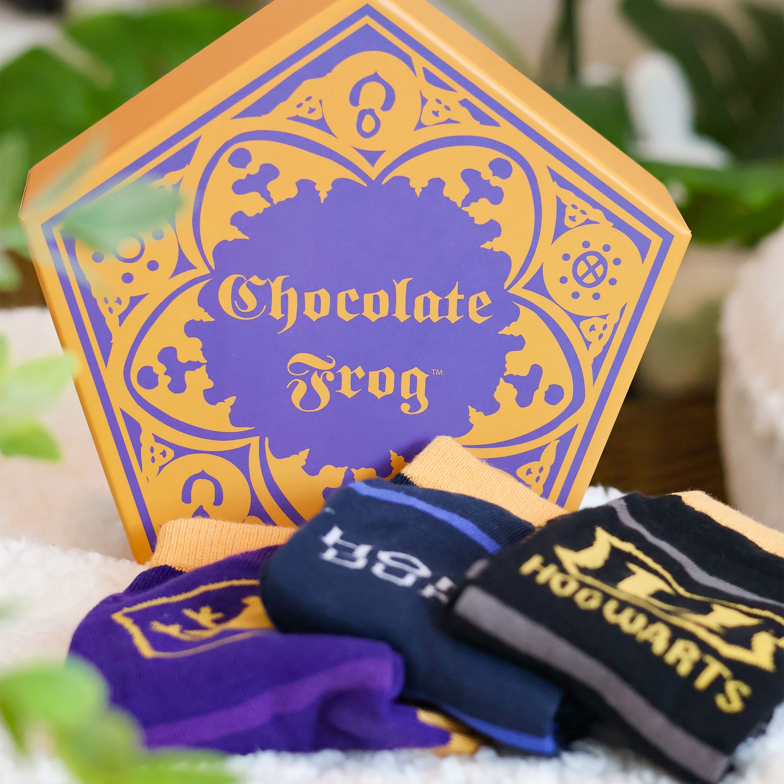 Produktbild Harry Potter - Strumpor 3-pack i Chokladgroda-låda