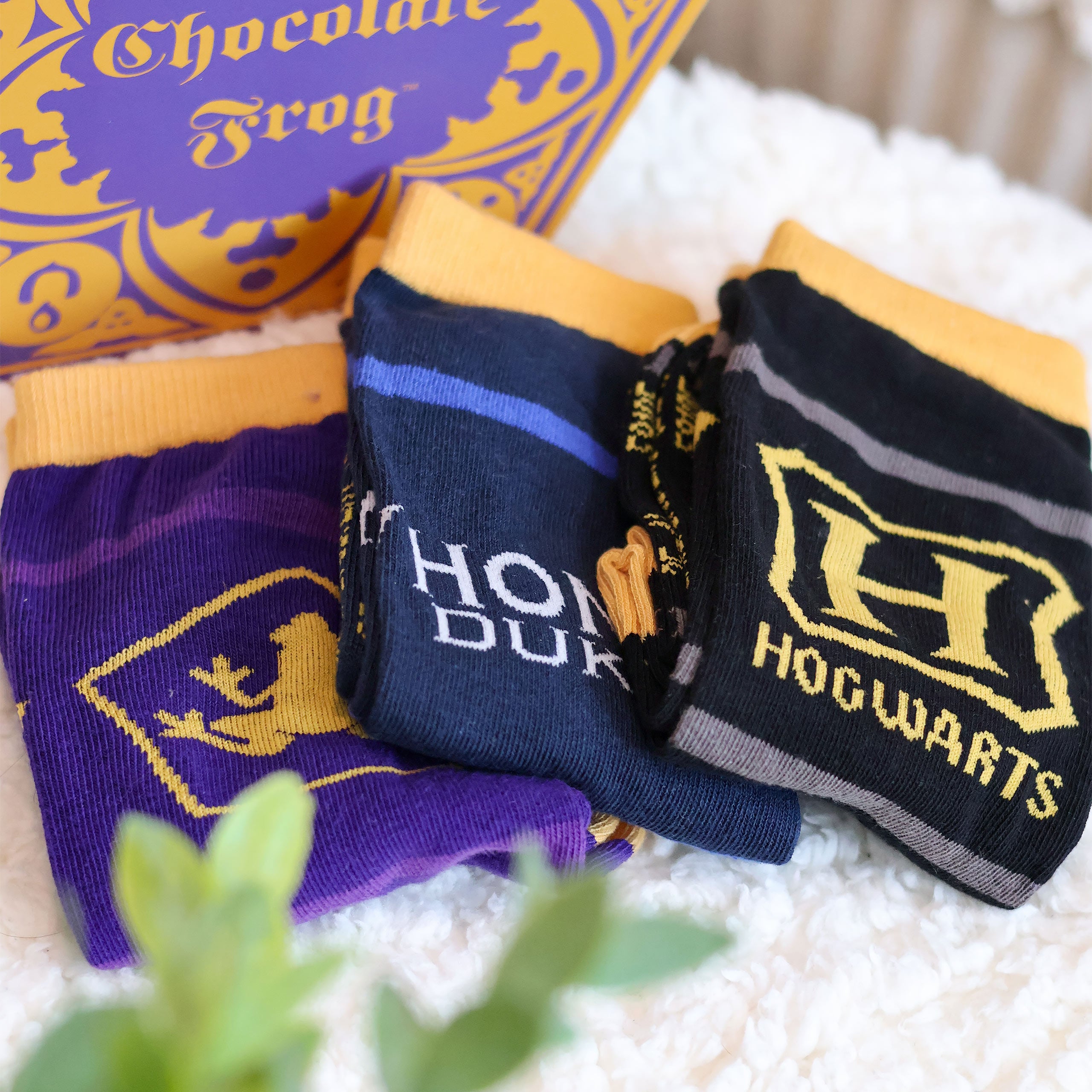 Produktbild Harry Potter - Strumpor 3-pack i Chokladgroda-låda