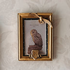 Produktbild Harry Potter - Hedwig Fotoram