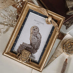 Produktbild Harry Potter - Hedwig Fotoram