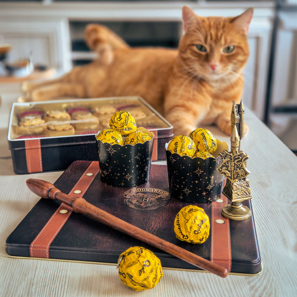 Produktbild Harry Potter - Krispbollar med hasselnöts- och nougatkräm