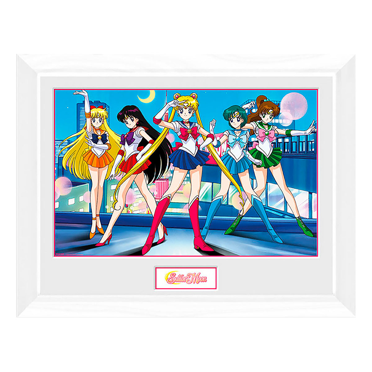Produktbild Sailor Moon - Grupp Väggbild