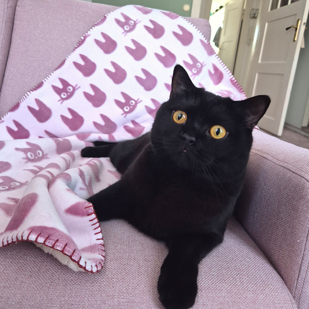 Produktbild Kiki’s Delivery Service - Jiji Siluett Mysfilt med Teddytyg