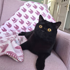 Produktbild Kiki’s Delivery Service - Jiji Siluett Mysfilt med Teddytyg