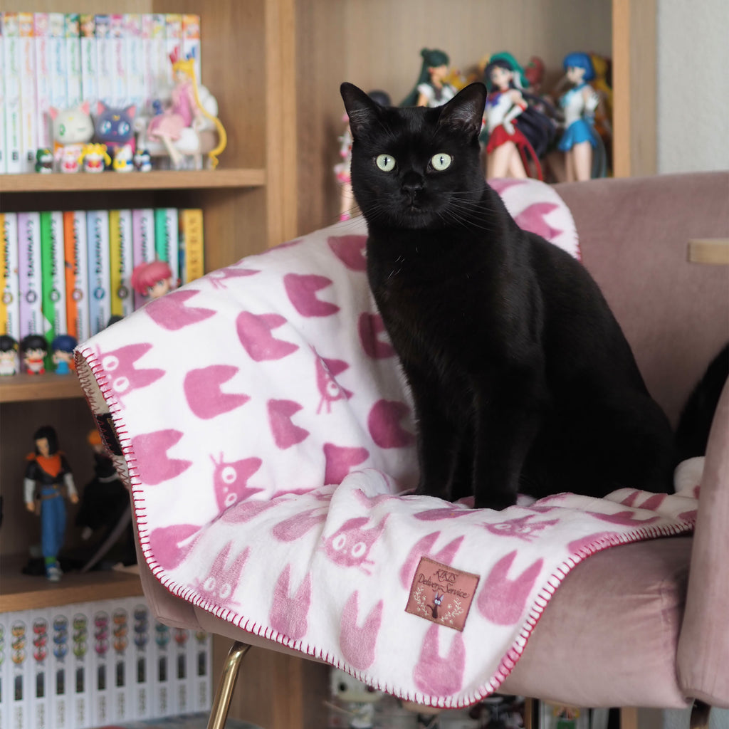 Produktbild Kiki’s Delivery Service - Jiji Siluett Mysfilt med Teddytyg