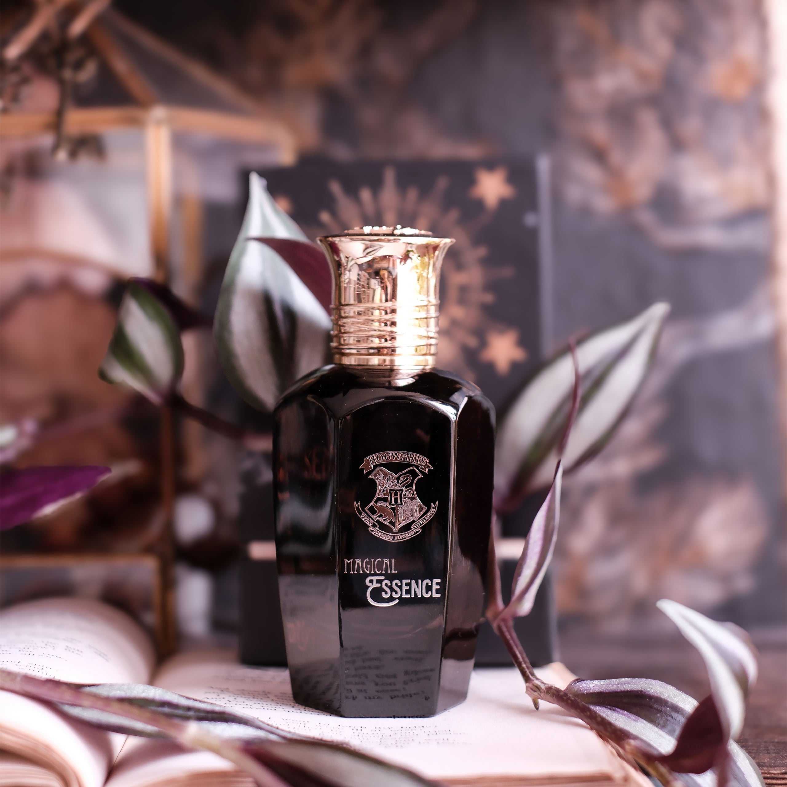 Produktbild Harry Potter - Magical Essence Ambition Eau de Parfum