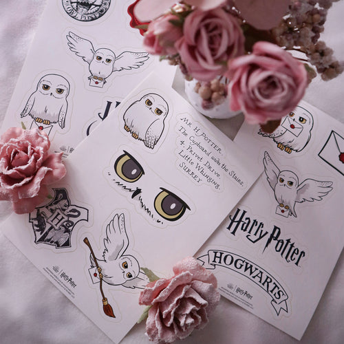 Produktbild Harry Potter - Hedwig Klistermärken
