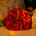 Produktbild Jurassic Park - Medaljong och Pin Presentbox Begränsad