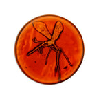Produktbild Jurassic Park - Medaljong och Pin Presentbox Begränsad