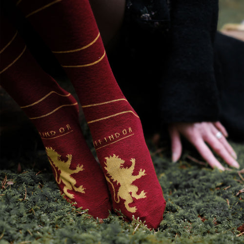 Produktbild Harry Potter - Gryffindor Overknee-strumpor 2-pack