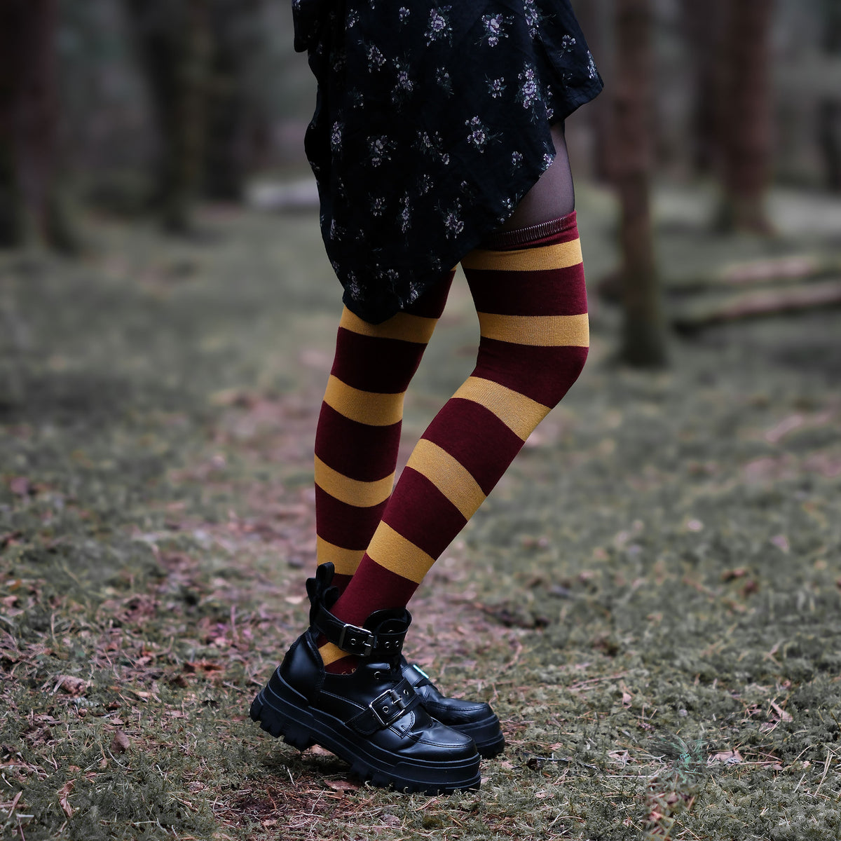 Produktbild Harry Potter - Gryffindor Overknee-strumpor 2-pack