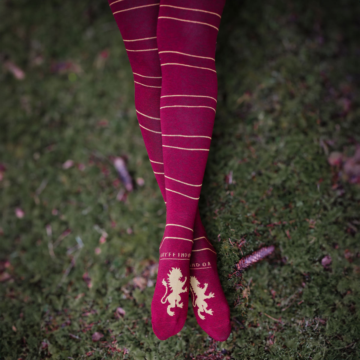 Produktbild Harry Potter - Gryffindor Overknee-strumpor 2-pack