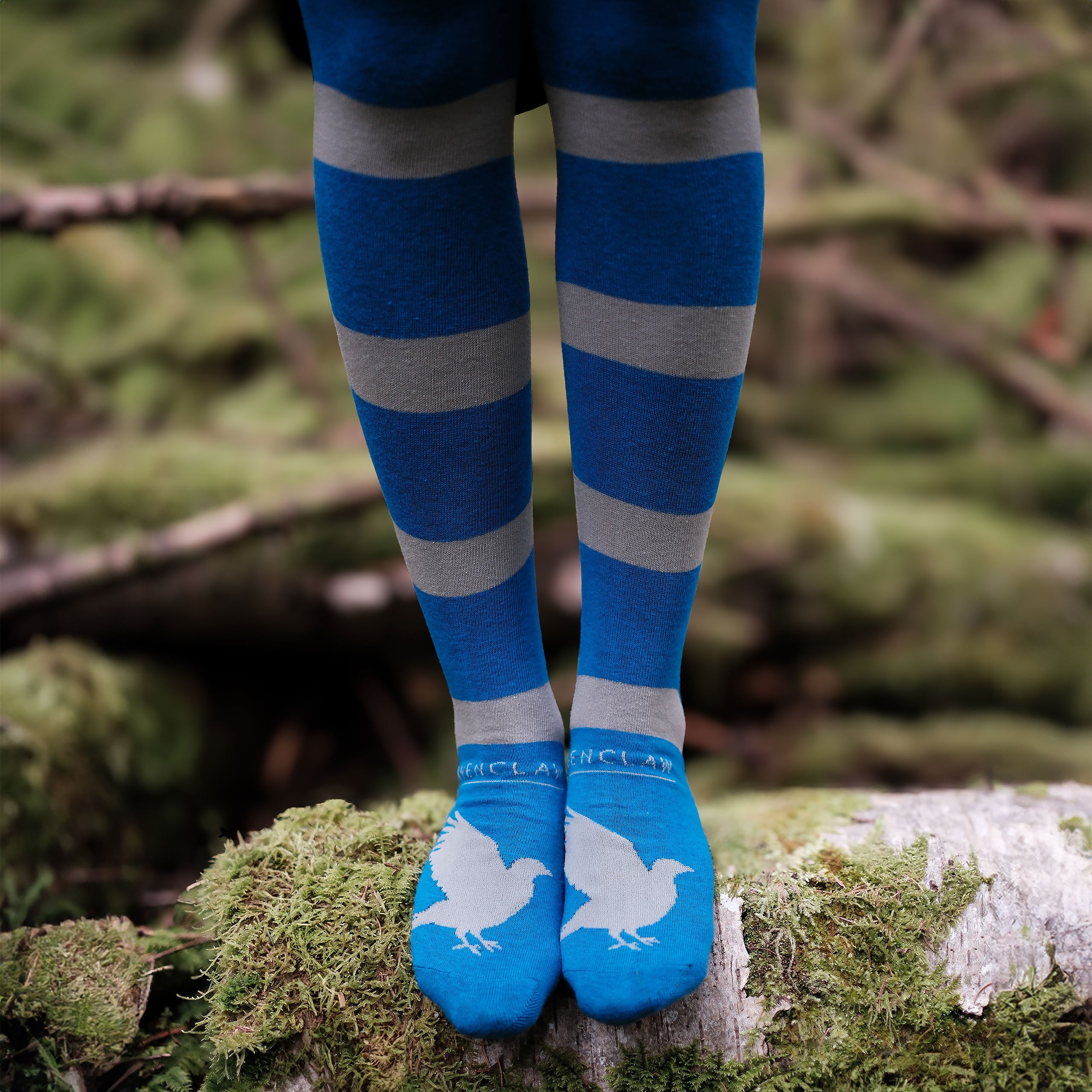 Produktbild Harry Potter - Ravenclaw Overknee Strumpor 2-delat set