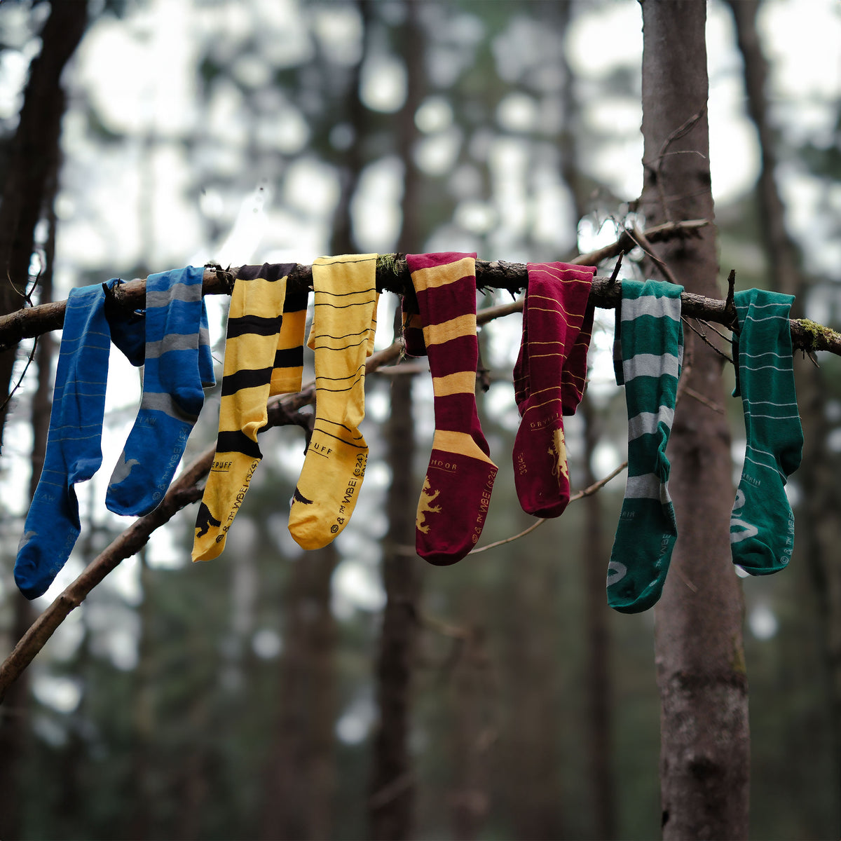 Produktbild Harry Potter - Ravenclaw Overknee Strumpor 2-delat set