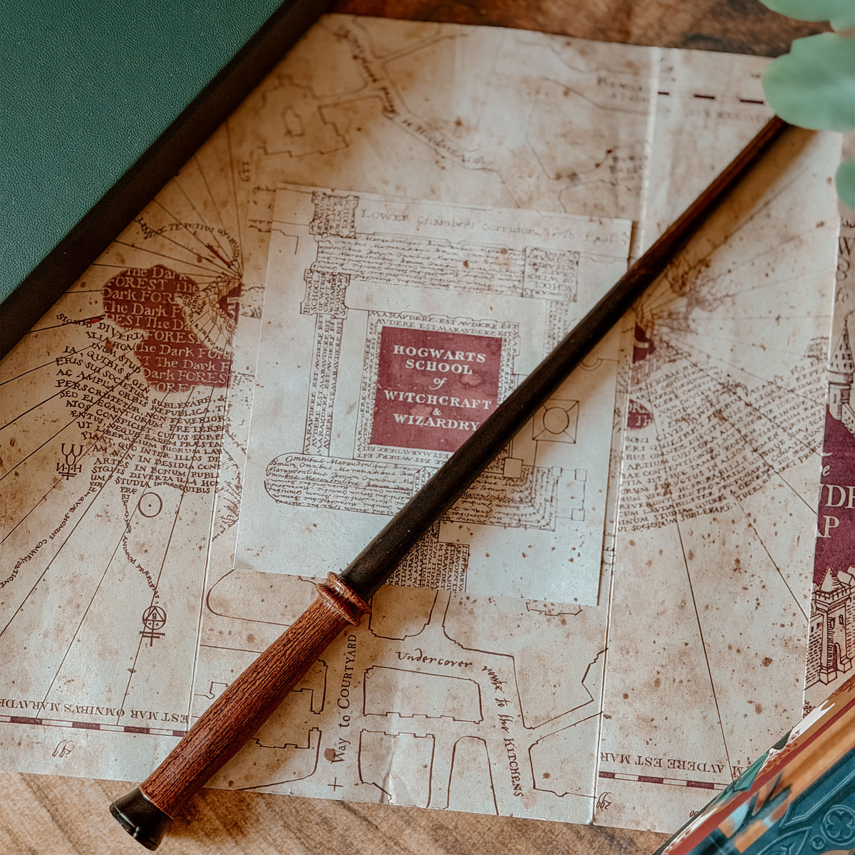 Produktbild Harrys första trollstav - Harry Potter First Wands Collection