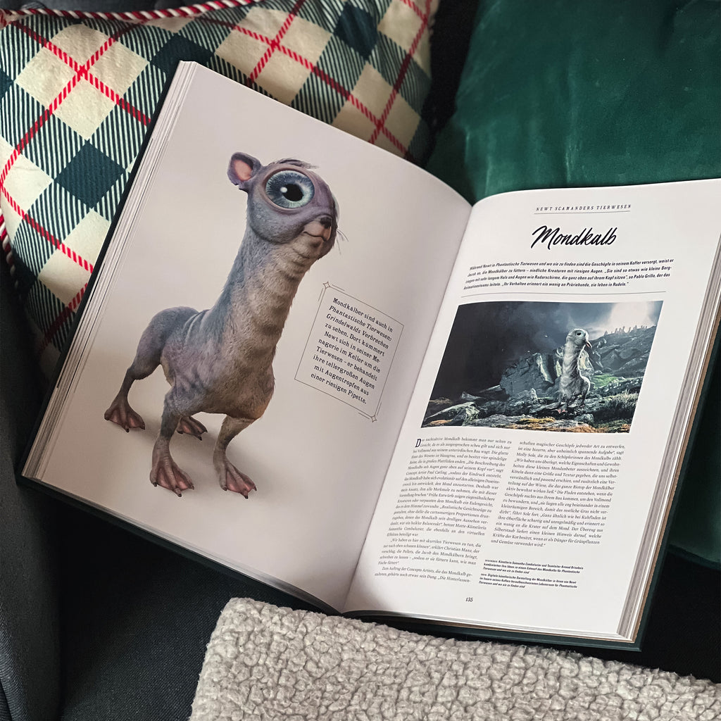 Produktbild Harry Potter - VEM ÄR VEM - De magiska varelserna i trollkarlsvärlden
