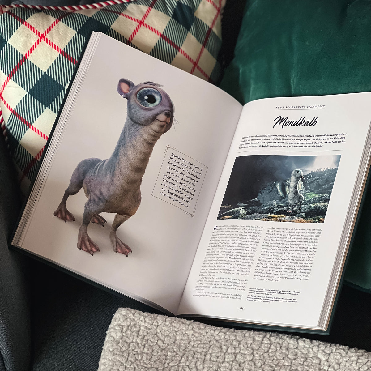 Produktbild Harry Potter - VEM ÄR VEM - De magiska varelserna i trollkarlsvärlden