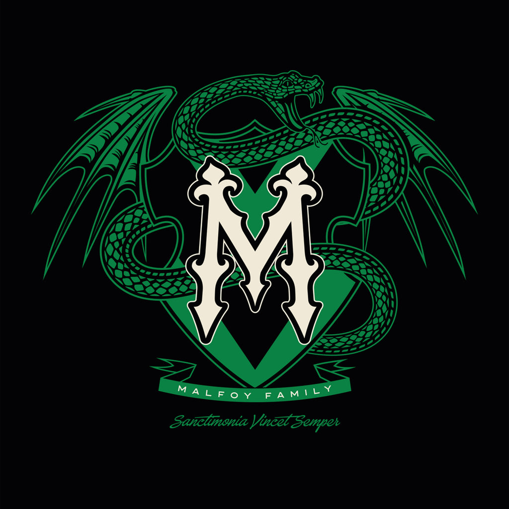 Produktbild Malfoy Family T-shirt svart - Harry Potter
