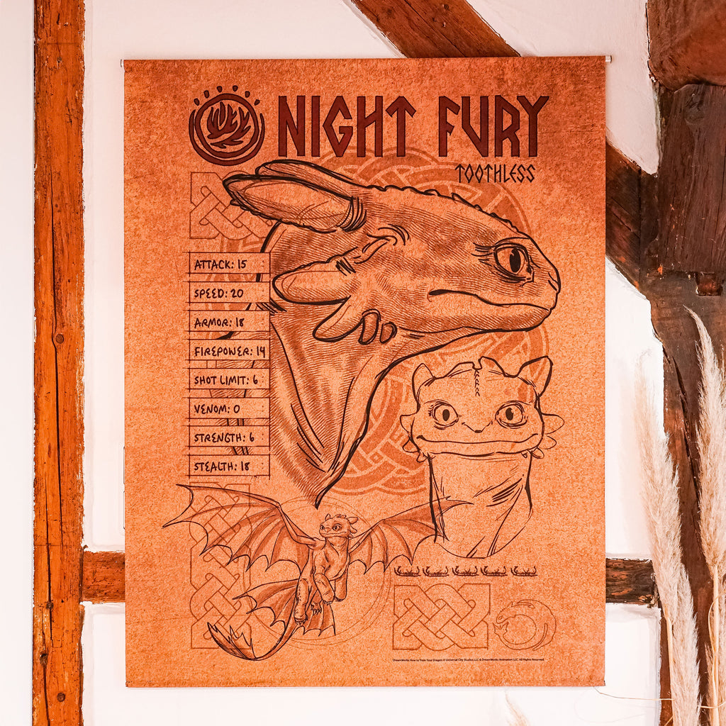 Produktbild Draktränaren - Night Fury Väggscroll