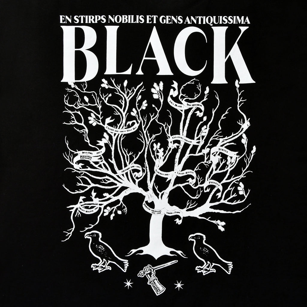 Produktbild Harry Potter - House of Black T-shirt svart