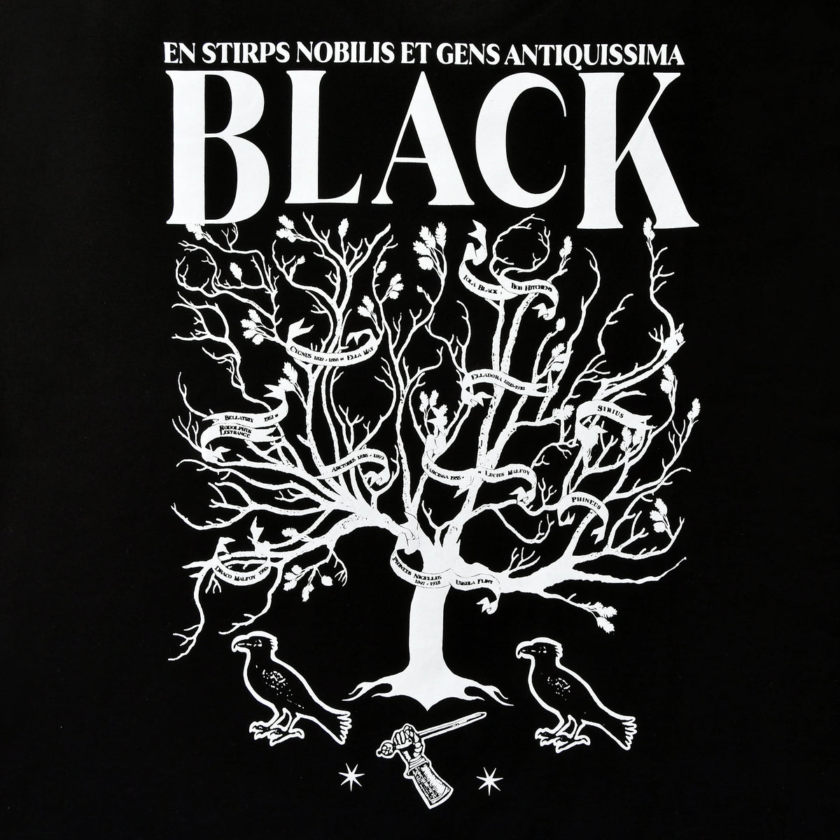 Produktbild Harry Potter - House of Black T-shirt svart
