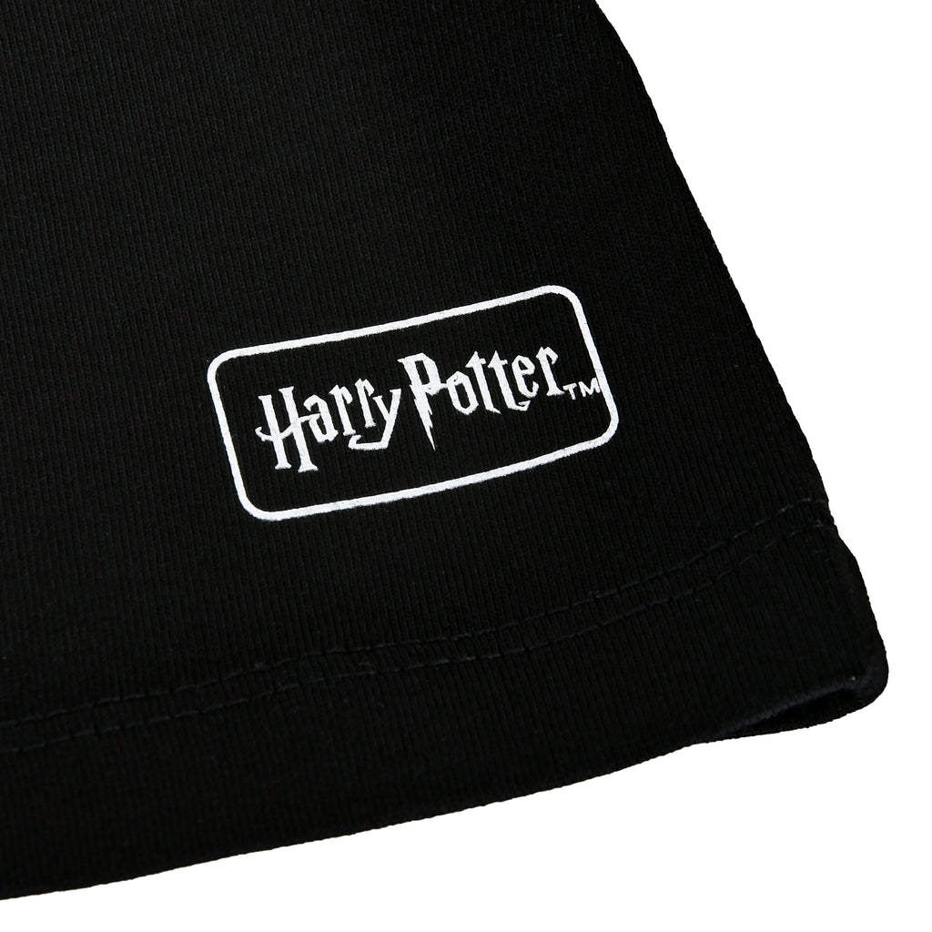 Produktbild Harry Potter - House of Black T-shirt svart