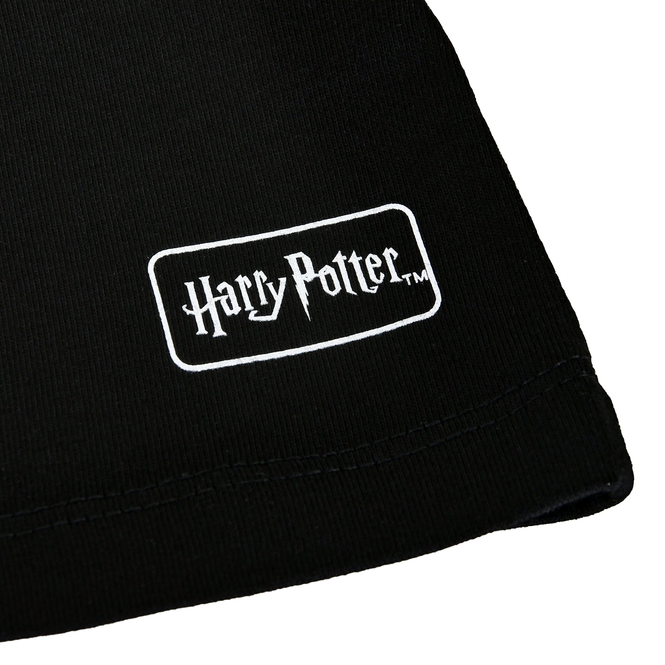 Produktbild Harry Potter - House of Black T-shirt svart