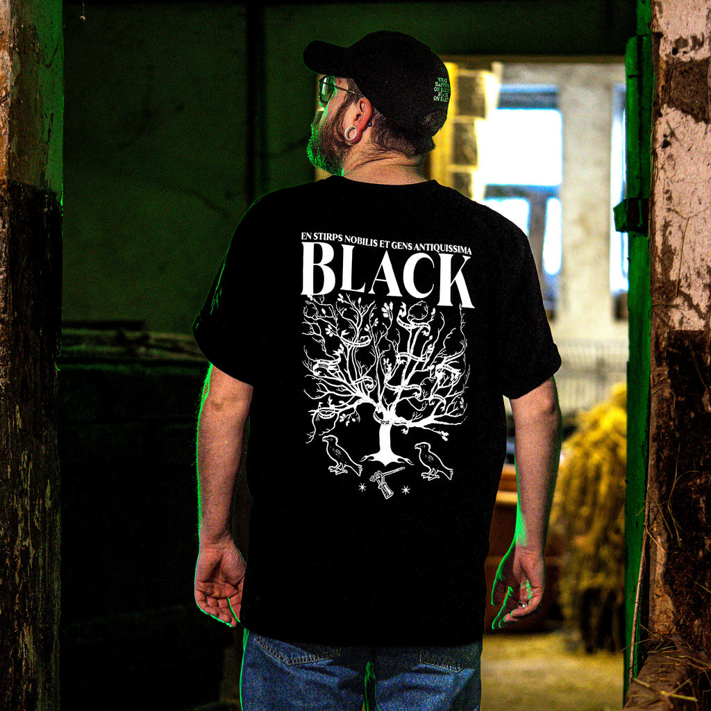 Produktbild Harry Potter - House of Black T-shirt svart