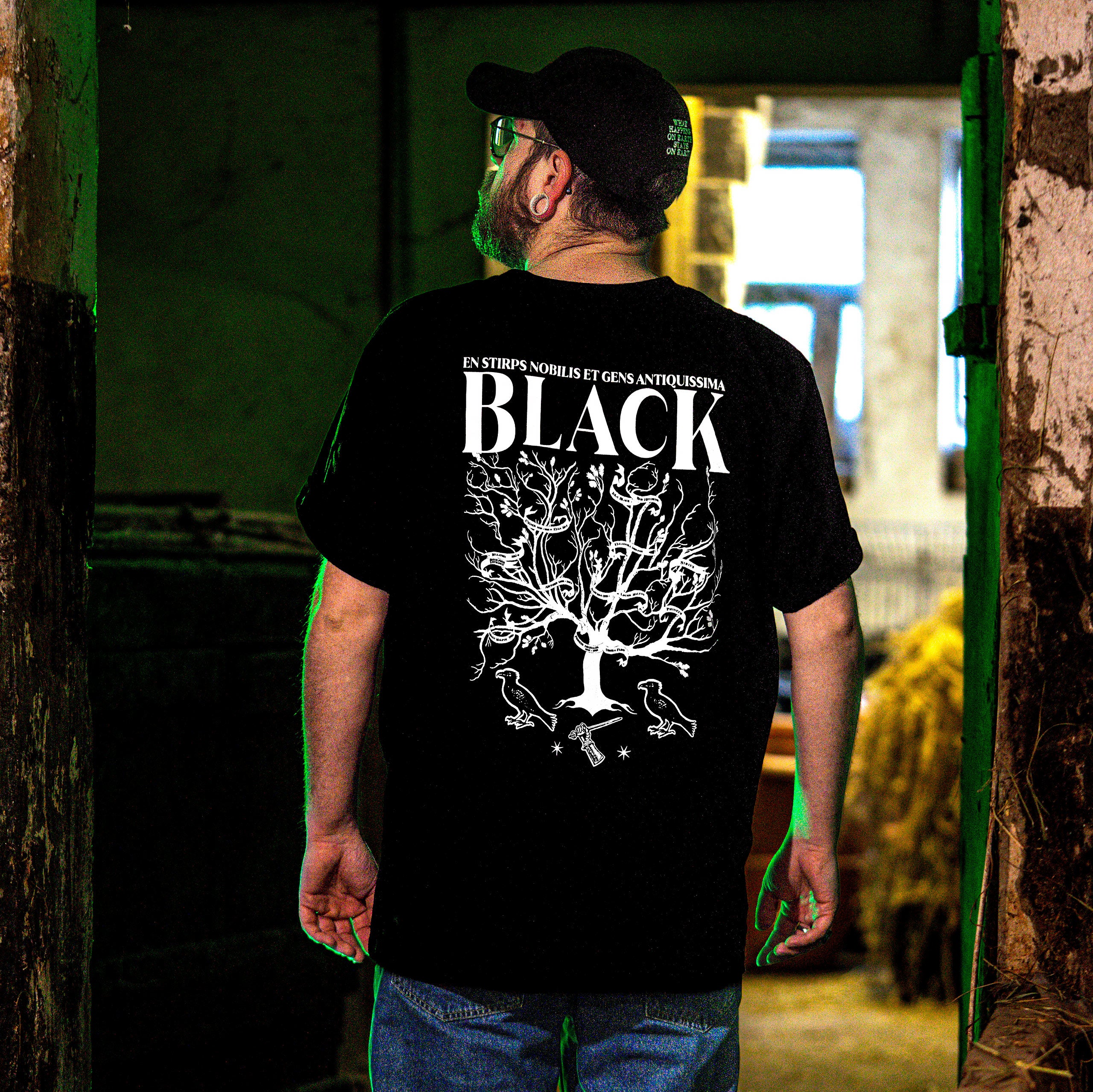 Produktbild Harry Potter - House of Black T-shirt svart