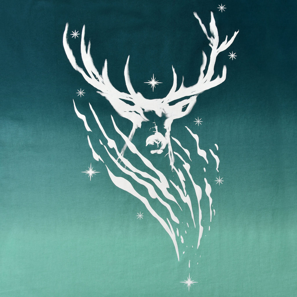 Produktbild Harry Potter - Expecto Patronum T-shirt
