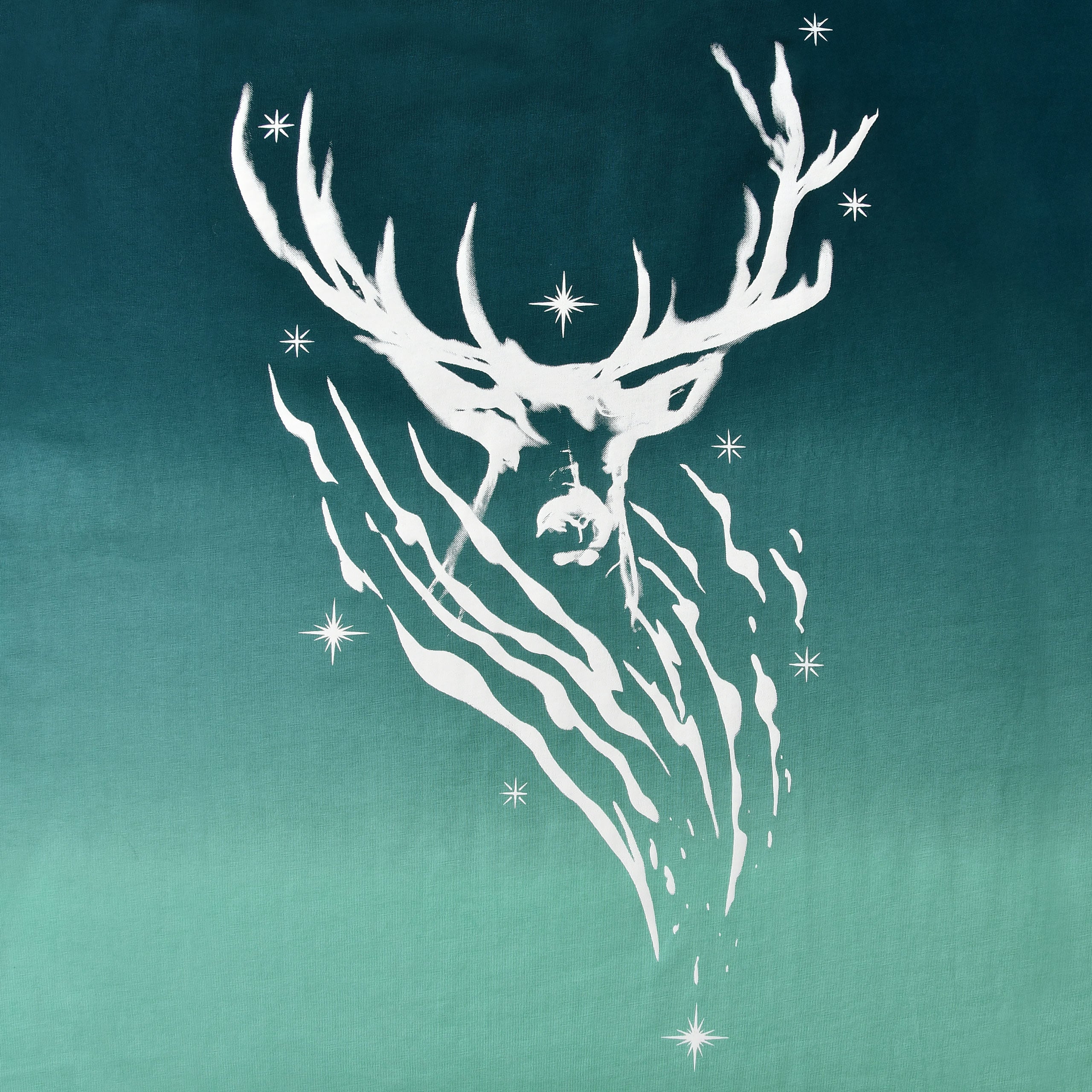 Produktbild Harry Potter - Expecto Patronum T-shirt