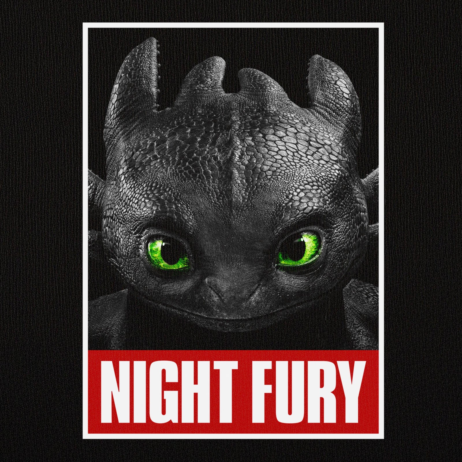 Produktbild Draktränaren - svart Night Fury Poster T-shirt