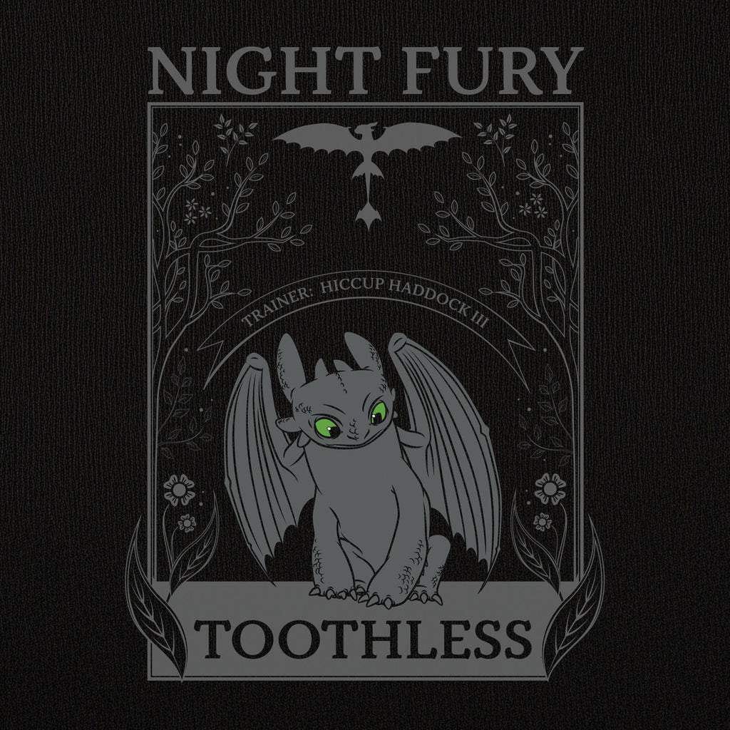 Produktbild Draktränaren - Night Fury T-shirt dam svart